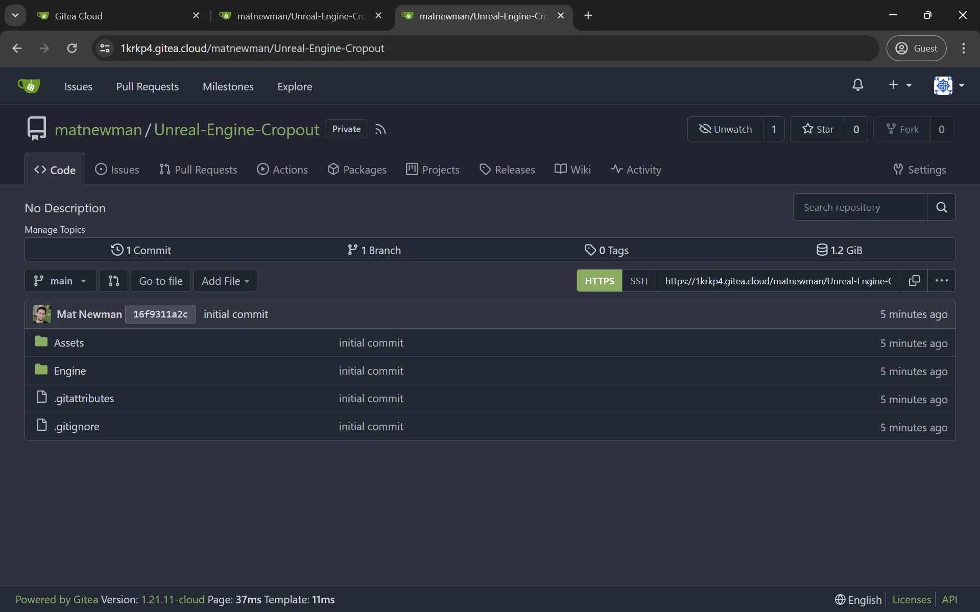 Once our files are pushed, they should be on Gitea. Refresh the repository page to see them.