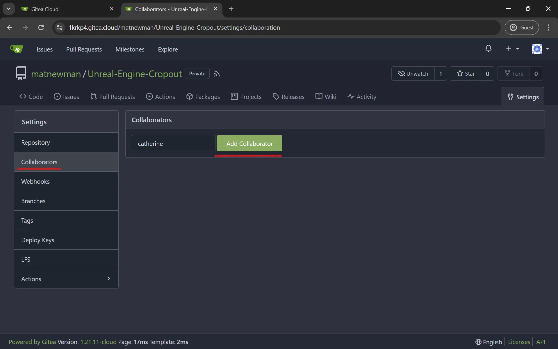 Under Collaborators, pick “Add Collaborator” and pick your newly created user